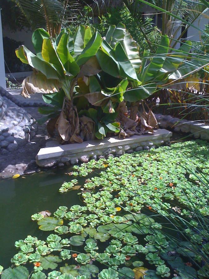 Garden Roomz Oman Muscat Exterior photo